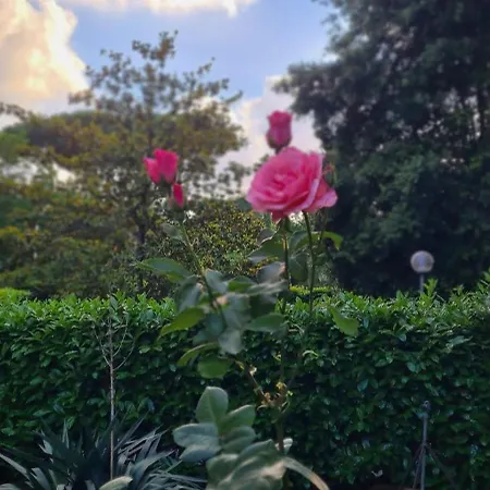 בית הארחה At Hand 4*